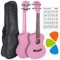 Koncerta ukuleles komplekts V-Tone UK23 cena un informācija | Ģitāras | 220.lv