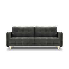 Бархатный диван-кровать Micadoni Scaleta, серый/золотой цвет цена и информация | Диваны | 220.lv