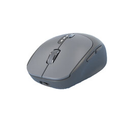 Беспроводная мышь Eweadn Q5 2.4G 1600DPI Bluetooth5.0 цена и информация | Мыши | 220.lv