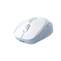 Беспроводная мышь Eweadn Q5P 2.4G 1600DPI Bluetooth5.0 цена и информация | Мыши | 220.lv