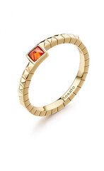 Rosato Элегантное позолоченное кольцо с фианитом Cubica RZCU100 цена и информация | Кольца | 220.lv