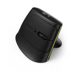 Беспроводная мышь Delux MV6 2.4G 4000DPI 1000mAh Bluetooth OLED Type-C цена и информация | Мыши | 220.lv