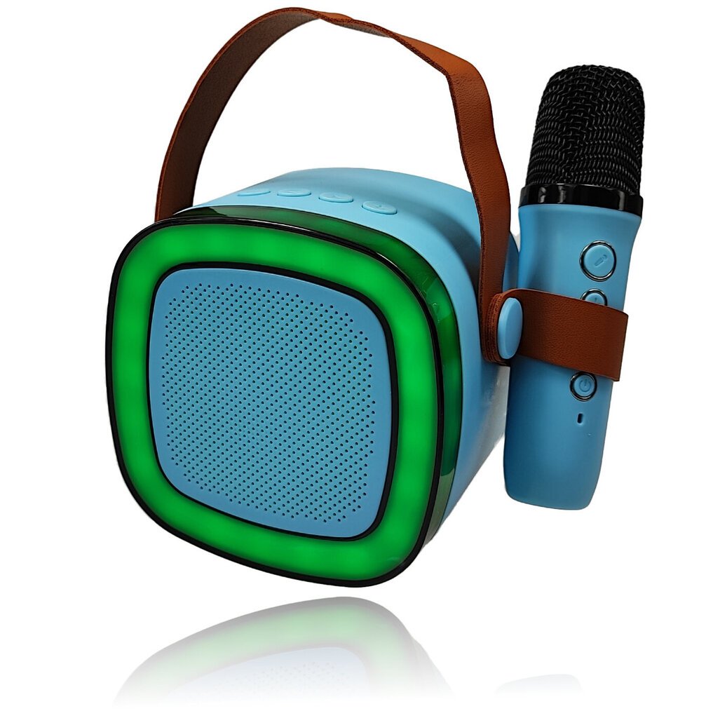 Bluetooth skaļruņa karaoke ar mikrofonu cena un informācija | Skaļruņi | 220.lv