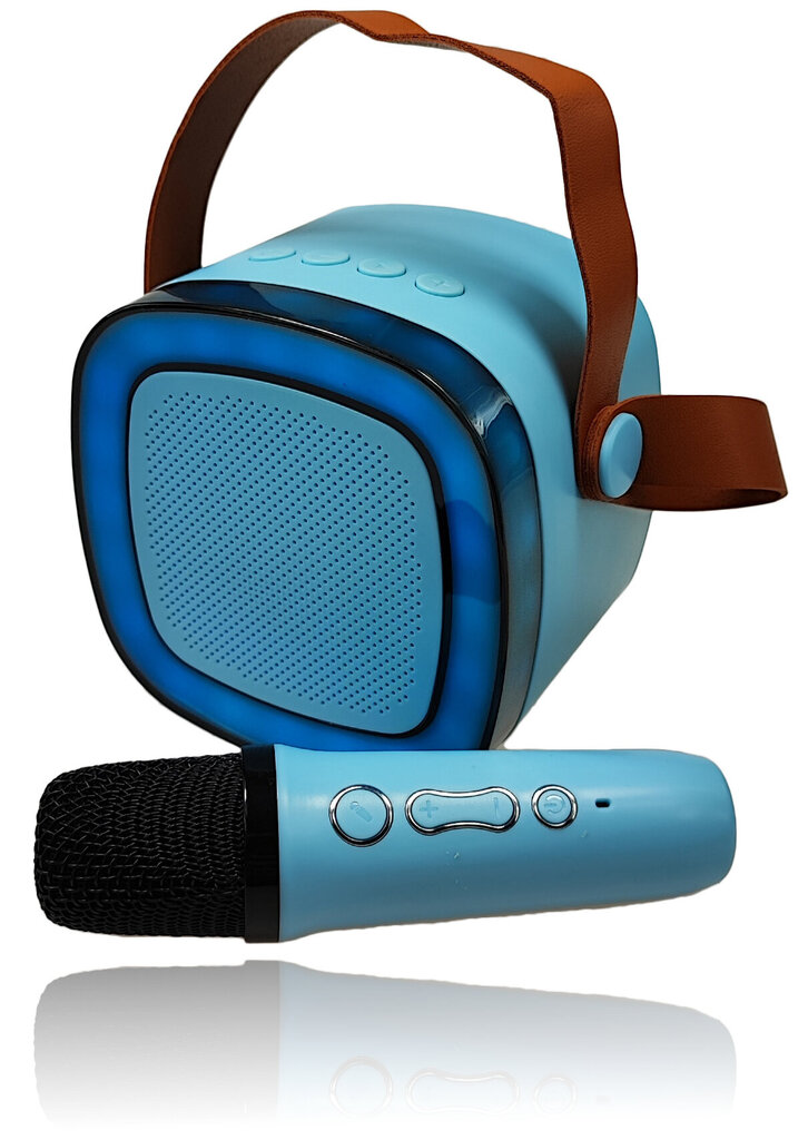 Bluetooth skaļruņa karaoke ar mikrofonu cena un informācija | Skaļruņi | 220.lv