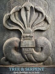 Tree & Serpent: Early Buddhist Art in India cena un informācija | Mākslas grāmatas | 220.lv