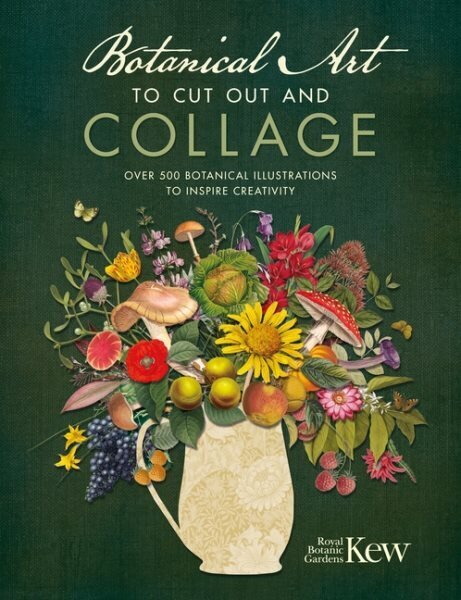 Botanical Art to Cut Out and Collage: Over 500 botanical illustrations to inspire creativity цена и информация | Mākslas grāmatas | 220.lv