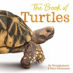 Book of Turtles цена и информация | Книги для малышей | 220.lv