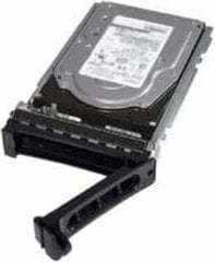 Cietais Disks Dell 345-BDZZ 480 GB SSD цена и информация | Внутренние жёсткие диски (HDD, SSD, Hybrid) | 220.lv