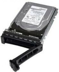 Cietais Disks Dell 345-BEBH 480 GB SSD cena un informācija | Iekšējie cietie diski (HDD, SSD, Hybrid) | 220.lv