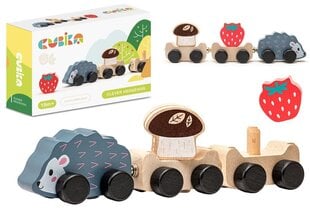 Koka ežu vilciens, Cubika cena un informācija | Attīstošās rotaļlietas | 220.lv