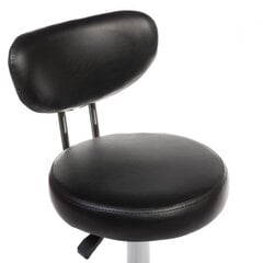 Meistara krēsls BT-229 cena un informācija | Mēbeles skaistumkopšanas saloniem | 220.lv