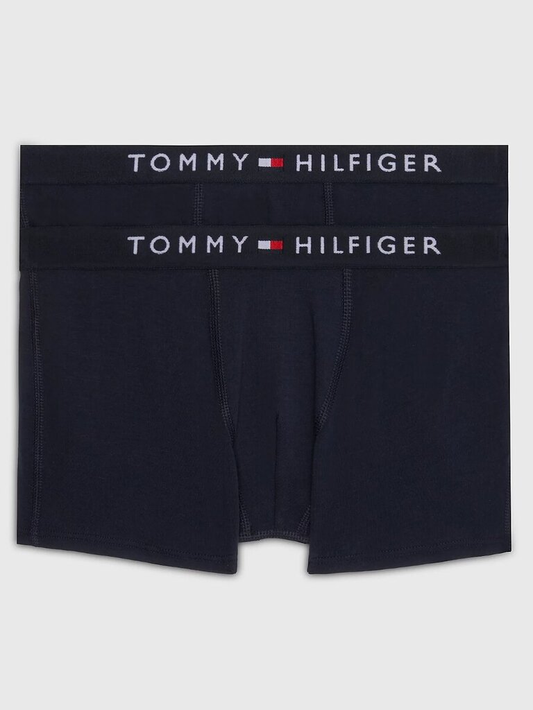 TOMMY HILFIGER 2 gab apakšbikses цена и информация | Zēnu apakšveļa | 220.lv