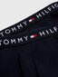 TOMMY HILFIGER 2 gab apakšbikses цена и информация | Zēnu apakšveļa | 220.lv