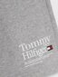 TOMMY HILFIGER šorti cena un informācija | Bikses zēniem | 220.lv