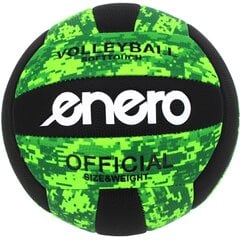 Volejbola bumba Enero Softtouch, 5, zaļa цена и информация | Волейбольные мячи | 220.lv