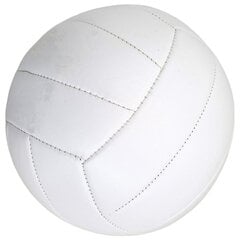 Volejbola bumba Enero Pro, 5, balta цена и информация | Волейбольные мячи | 220.lv