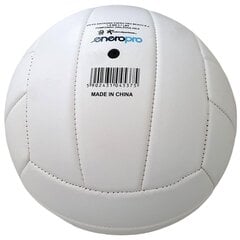Пляжный волейбольный мяч Enero Pro, белый цена и информация | Волейбольные мячи | 220.lv