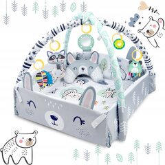 Interaktīvais mācību paklājiņš 110x100cm Ricokids цена и информация | Развивающие коврики | 220.lv