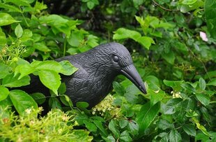 Piekārts putnu atbaidītājs Crow cena un informācija | Dzīvnieku atbaidīšanas līdzekļi | 220.lv