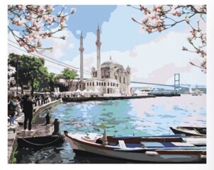 Картины по номерам "Стамбул" 40x50 цена и информация | Живопись по номерам | 220.lv