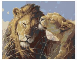 Gleznas pēc numuriem Lauvu mīlestība, 40x50 cena un informācija | Gleznas pēc numuriem | 220.lv