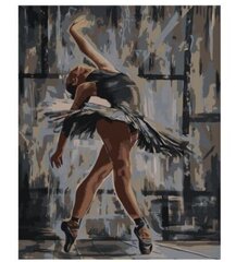 Картины по номерам "Балерина" 40x50 цена и информация | Живопись по номерам | 220.lv
