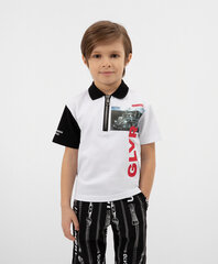 Футболка для мальчика с короткими рукавами цена и информация | Рубашки для мальчиков | 220.lv