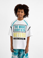 Футболка с камуфляжным принтом для мальчиков Gulliver цена и информация | Рубашки для мальчиков | 220.lv