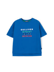 Футболка для мальчика с короткими рукавами, синяя цена и информация | Рубашки для мальчиков | 220.lv