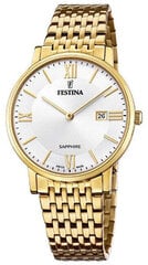 Festina Сделано в Швейцарии 20020/1 цена и информация | Мужские часы | 220.lv