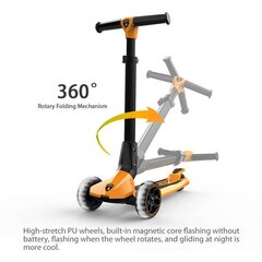 Lamborghini Children's Scooter Gray Flashing Wheels Foldable Push Scooter цена и информация | Самокаты | 220.lv