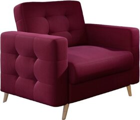 Кресло  Asgard 1F, фиолетовый цвет цена и информация | Кресла в гостиную | 220.lv