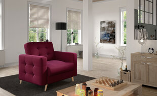 Кресло  Asgard 1F, фиолетовый цвет цена и информация | Кресла в гостиную | 220.lv