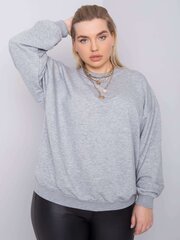 Džemperis sievietēm Basic Feel Good, pelēks цена и информация | Женские толстовки | 220.lv