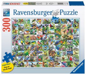 Puzle Ravensburger 99 apburošie putni, 16937, 300 d. cena un informācija | Puzles, 3D puzles | 220.lv