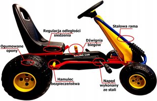 Bērnu pedāļu kartings Go-kart, daudzkrāsains cena un informācija | Rotaļlietas zēniem | 220.lv