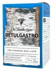 Dr. TEREŠKO Betulgastro kapsulas N60 цена и информация | Витамины, пищевые добавки, препараты для хорошего самочувствия | 220.lv