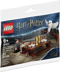 LEGO 30420 - Harry Potter ™ и Hedwig ™: доставка совы цена и информация | Конструкторы и кубики | 220.lv