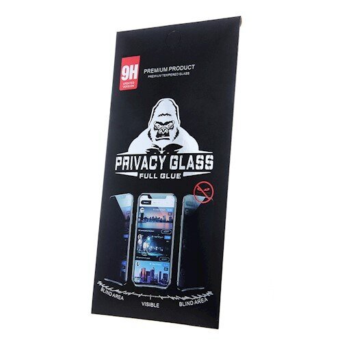 Privacy Glass цена и информация | Ekrāna aizsargstikli | 220.lv