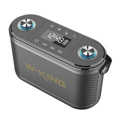 Wireless Bluetooth Speaker W-KING H10 S 80W (black) цена и информация | Аудиоколонки | 220.lv