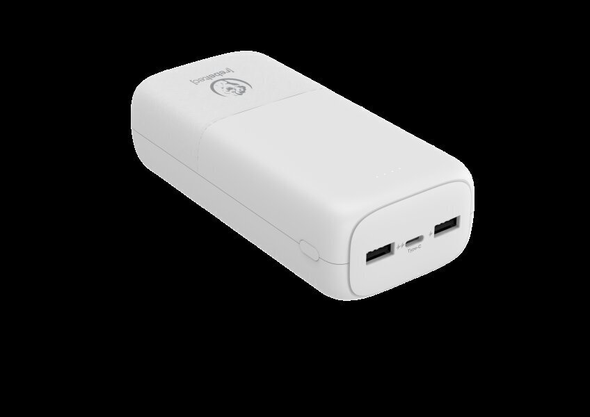 Rebeltec P30 10000mAh cena un informācija | Lādētāji-akumulatori (Power bank) | 220.lv