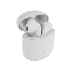 Setty Bluetooth earphones TWS with a charging case TWS-0 white цена и информация | Наушники с микрофоном Asus H1 Wireless Чёрный | 220.lv
