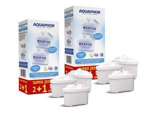 Aquaphor B100-25 цена и информация | Фильтры для воды | 220.lv