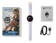 Oromed Oro Active Pro 2 Purple цена и информация | Viedpulksteņi (smartwatch) | 220.lv