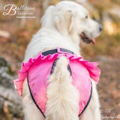 Pastaigu bikses suņu mātītēm Finnero, dažādi izmēri, rozā cena un informācija | Apģērbi suņiem | 220.lv