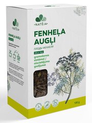 Tēja Fenheļa Natēja, 100g cena un informācija | Tējas un ārstniecības augi | 220.lv