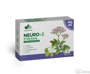 Nateja NEURO 2 STRESAM kapsulas ar Magniju & B6 vit. N30 цена и информация | Витамины, пищевые добавки, препараты для хорошего самочувствия | 220.lv