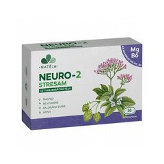 Nateja NEURO 2 STRESAM kapsulas ar Magniju & B6 vit. N30 цена и информация | Витамины, пищевые добавки, препараты для хорошего самочувствия | 220.lv