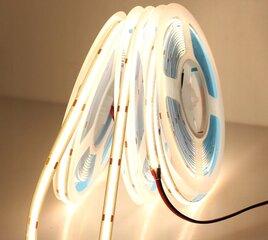 LED sloksnes neona vālīte 12 V 12W/m 8 mm balts karstums 5m цена и информация | Светодиодные ленты | 220.lv