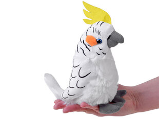 Игрушечный попугай из плюша, 21 см цена и информация | Мягкие игрушки | 220.lv